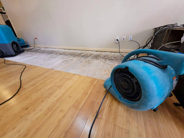 Professional Structural Drying technician working in Eastlake, MI